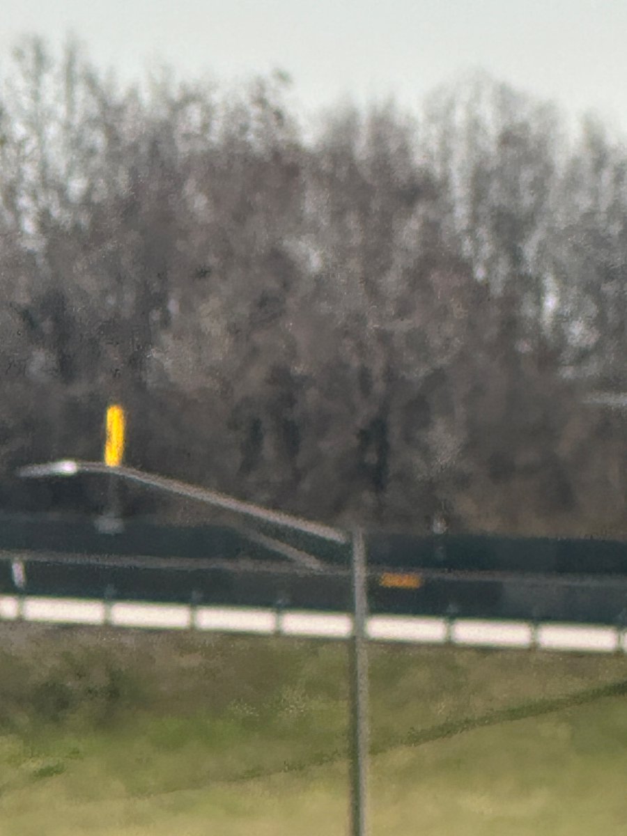 QuarioQuario tweet media