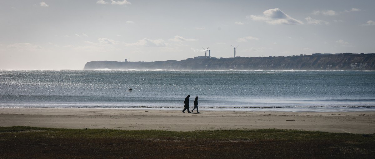 nejimaki tweet media