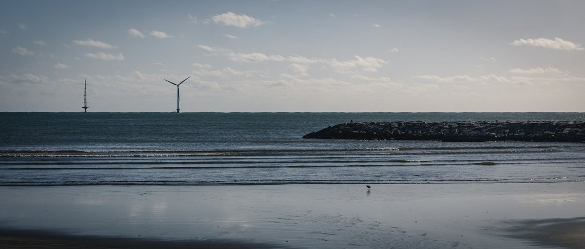 nejimaki tweet media