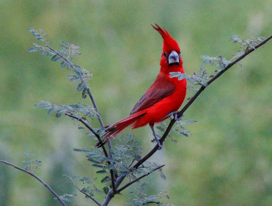 Lo Bueno De Colombia tweet media
