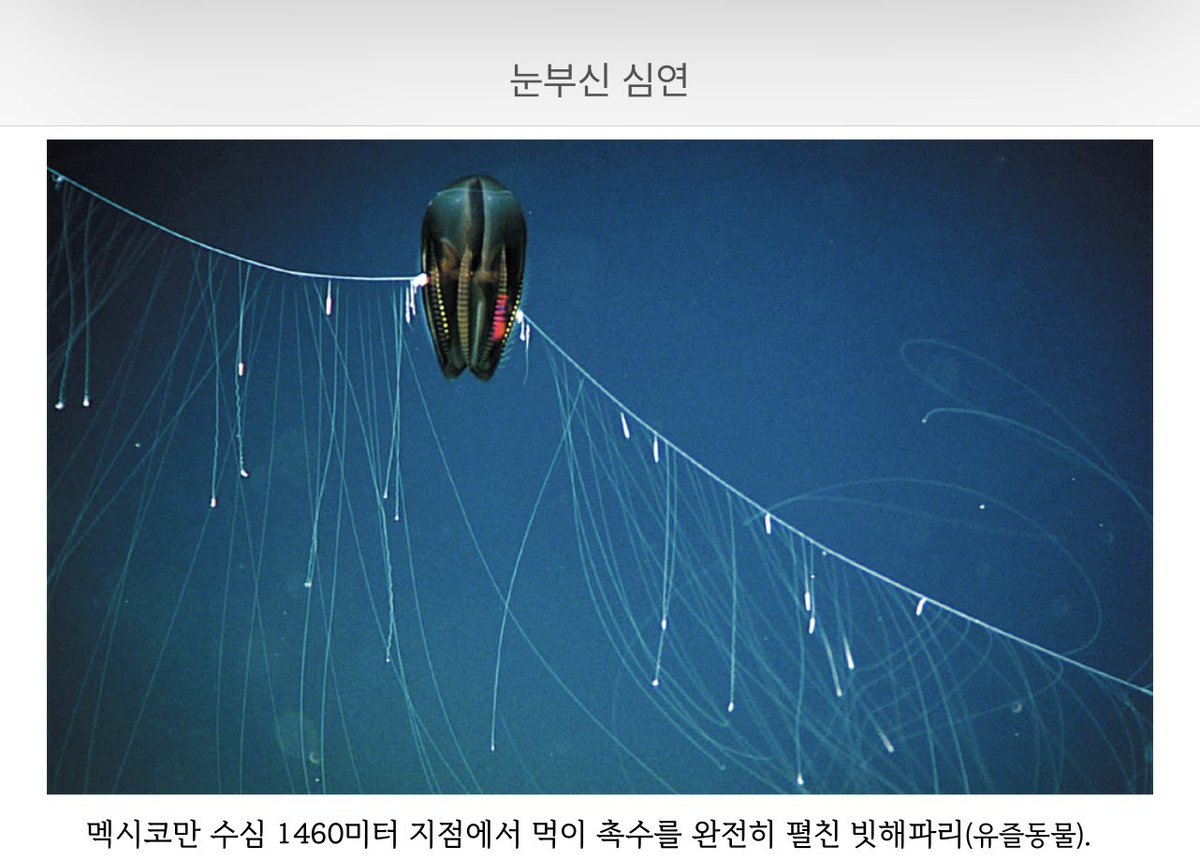 Ihr Problem tweet media