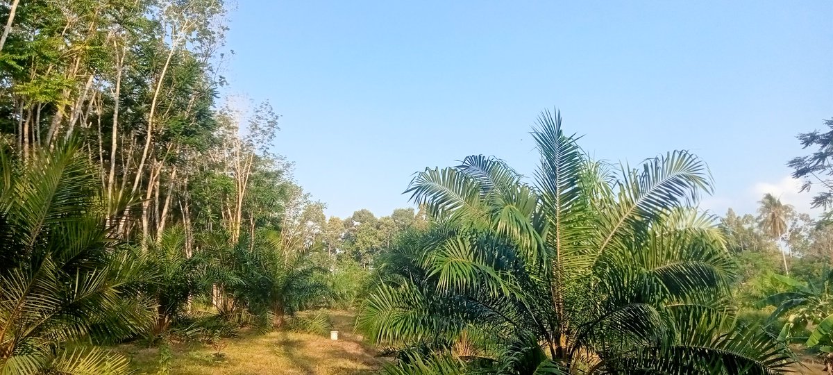 ชายแท้นะ ทำแต่งาน นัดต้อนวางเท่านัน tweet media