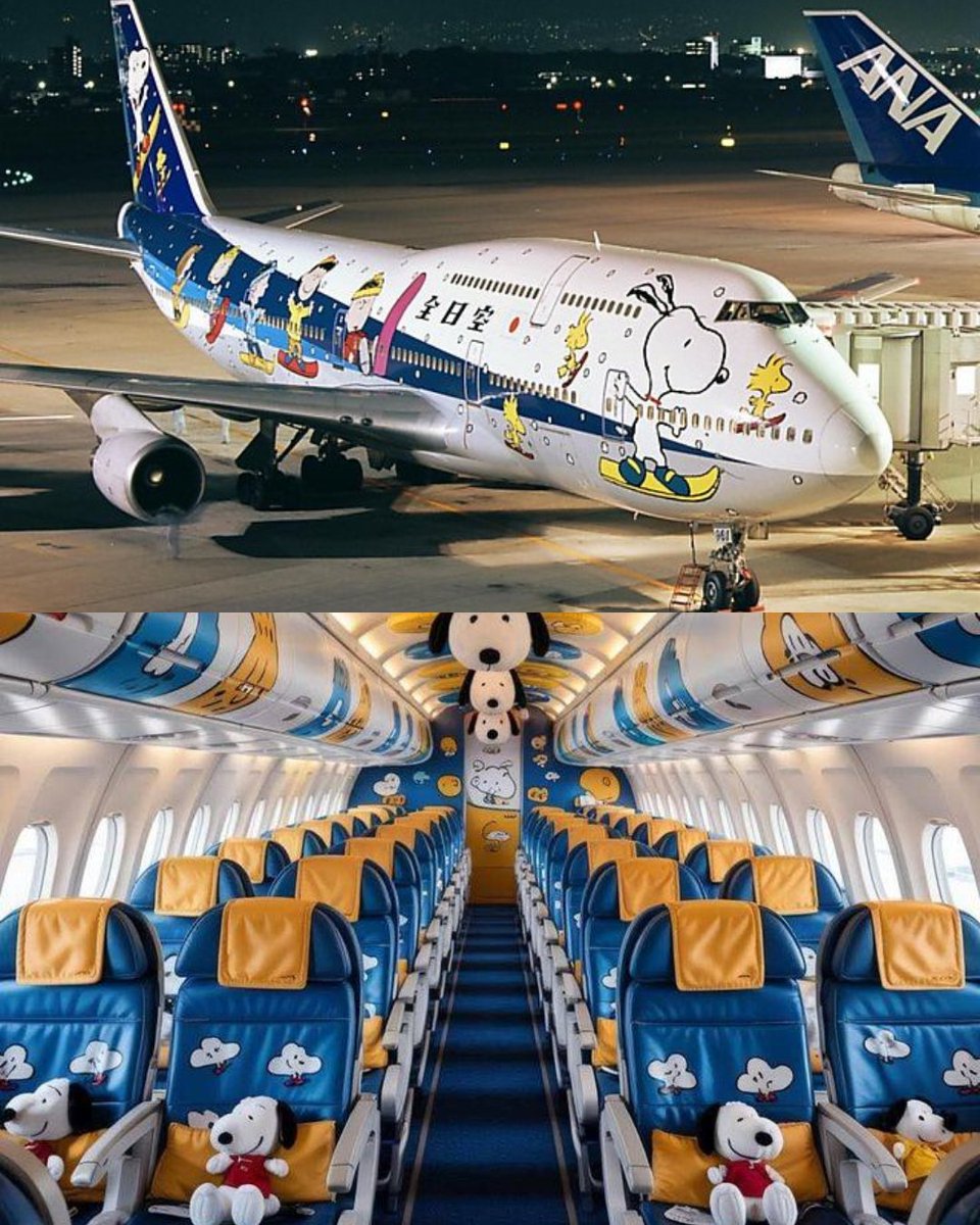 Fanatics Collect tweet media