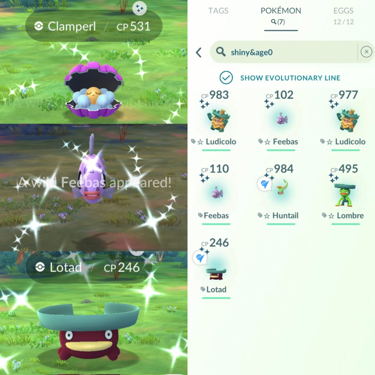 Daisuke D' shiny Hunter tweet media