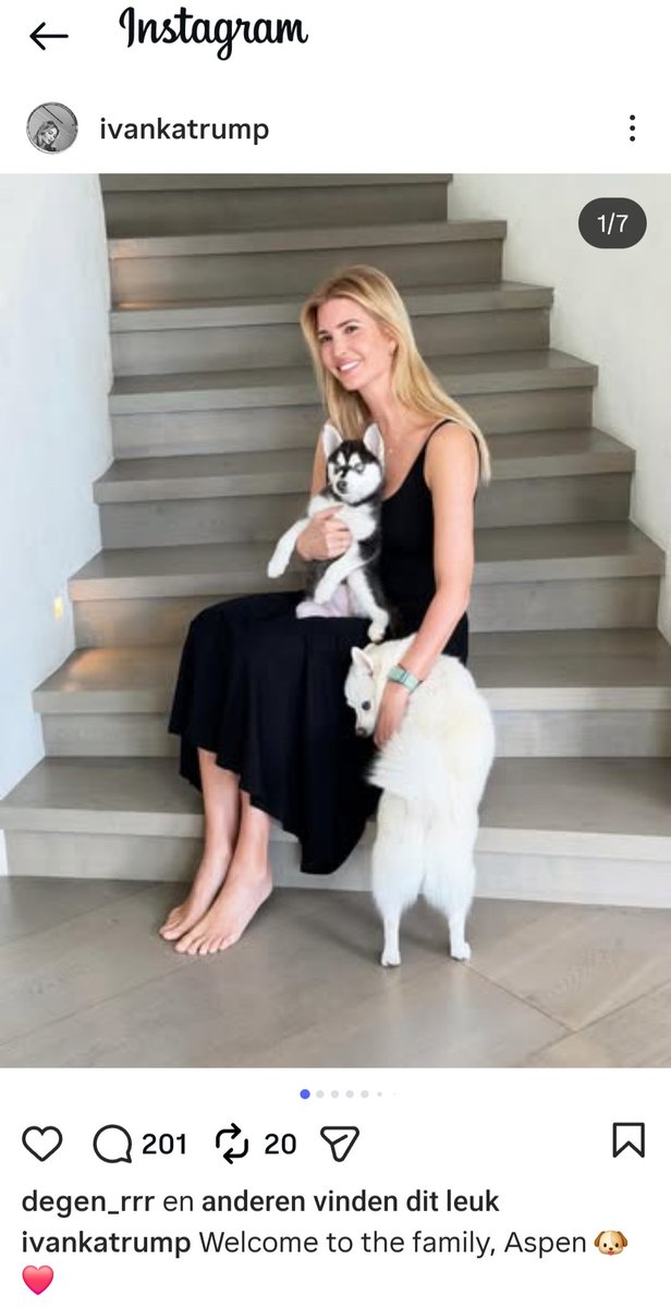 𝓓𝓲𝓶𝓼 𝓬𝓪𝓵𝓵𝓼 tweet media