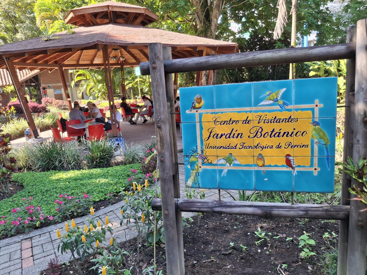 🌱       Así comenzó      🌳 
PEDAGOGÍA AMBIENTAL

Con un recorrido guiado al Jardín Botánico de la Universidad Tecnológica de Pereira UTP, financiado por la CARDER, un «enjambre» de niños dió inicio al programa PEDAGOGÍA AMBIENTAL 

clubdeleonespereiramonarca.org/asi-comenzo-pe…