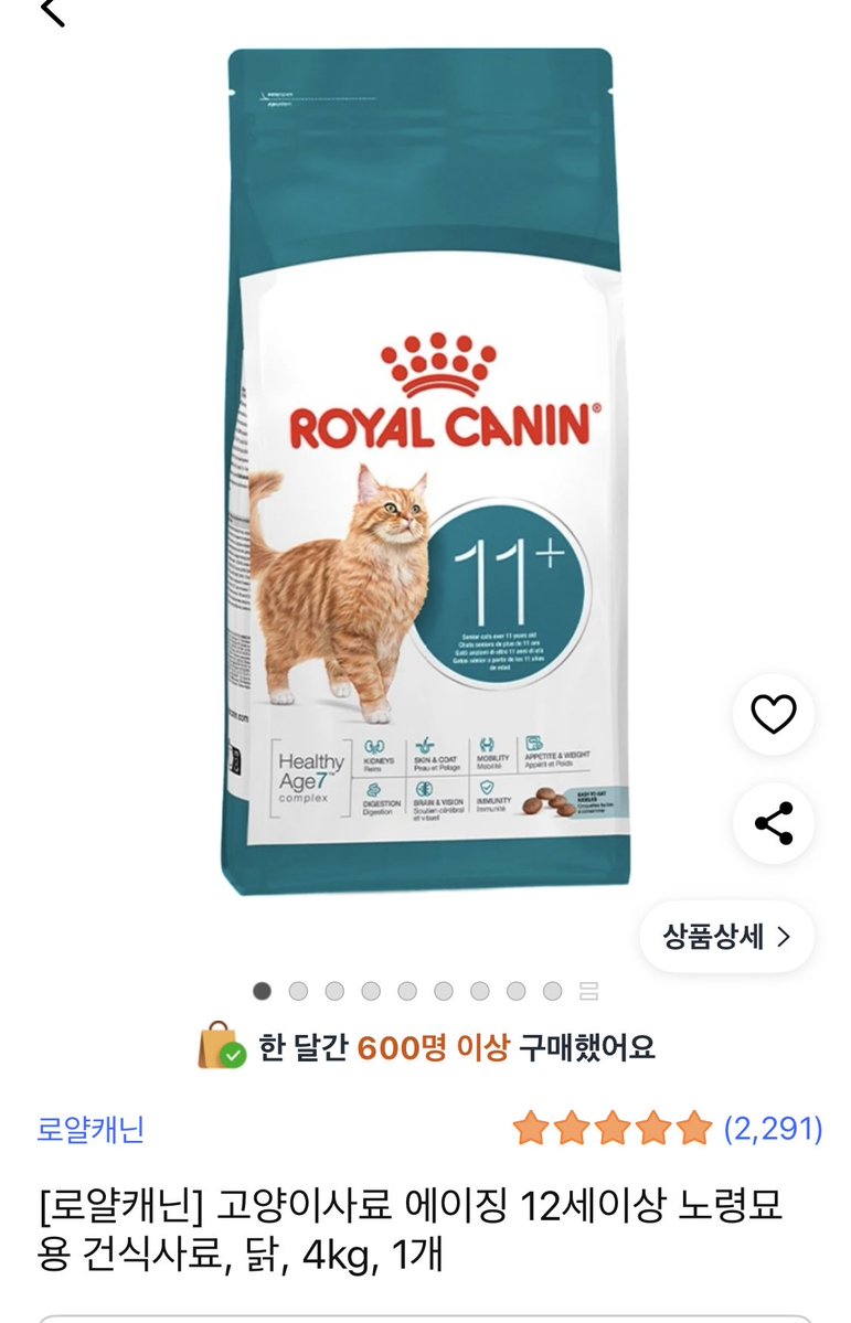 묘멘트쉼터(유기묘 아이들) tweet media