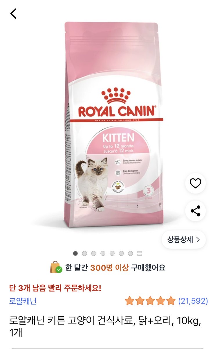 묘멘트쉼터(유기묘 아이들) tweet media