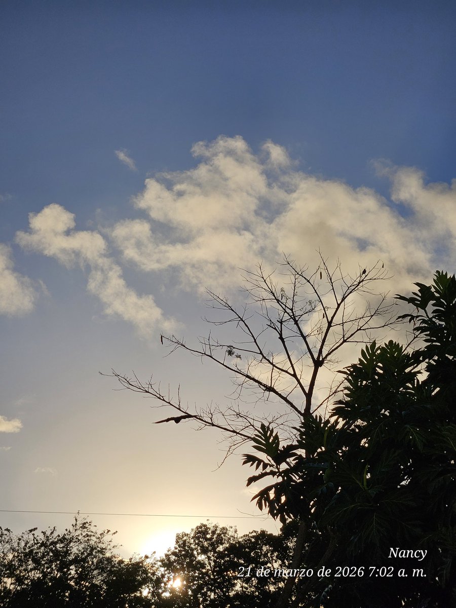 Nancy Perez tweet media