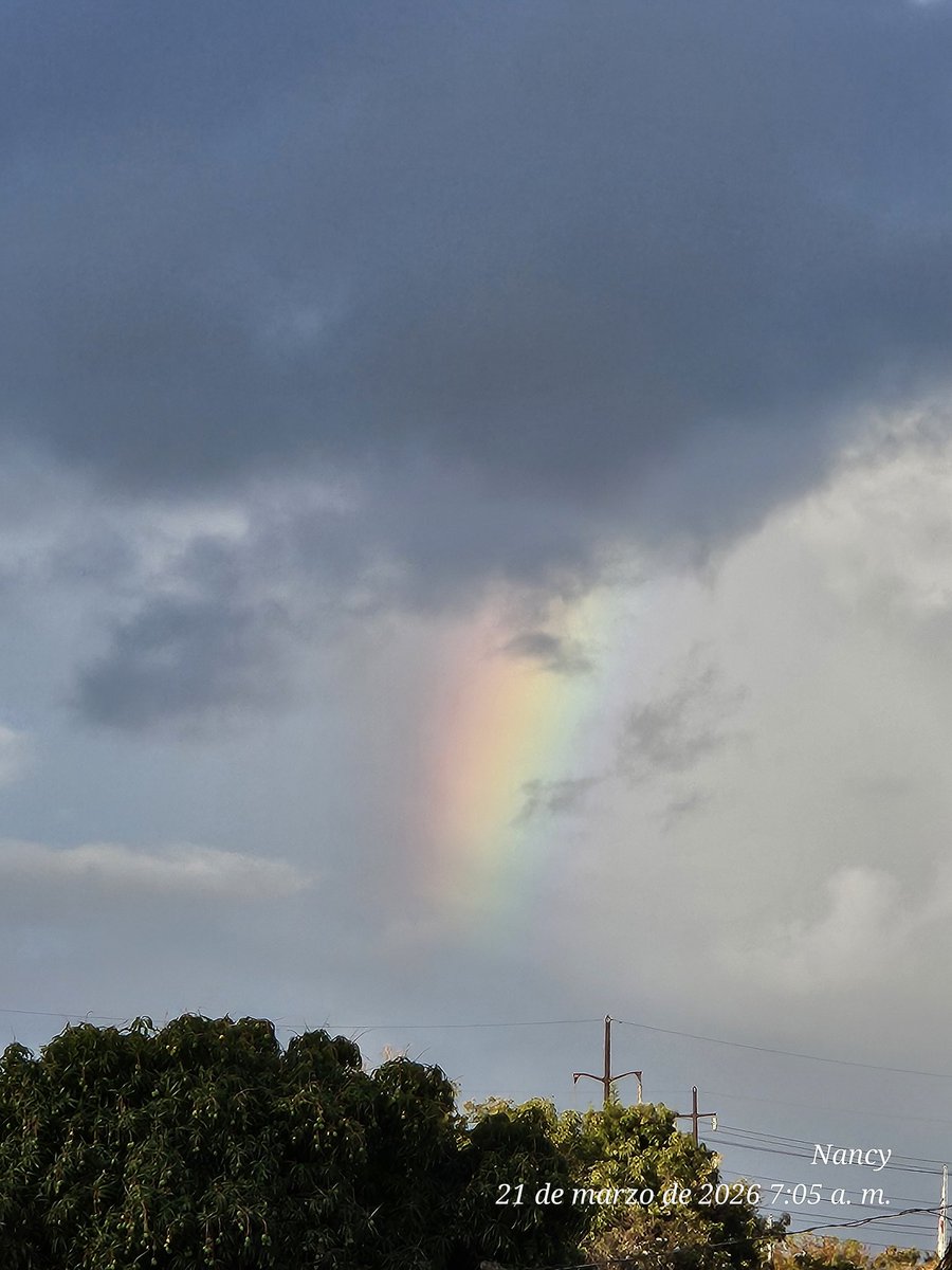 Nancy Perez tweet media