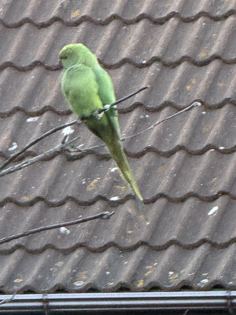 Jim Osman tweet media