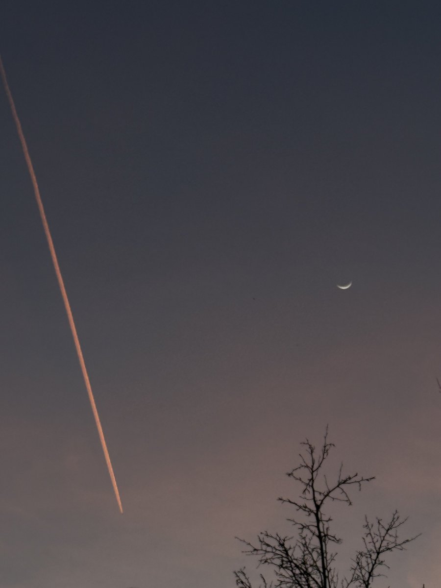 Ethan 🦣 tweet media