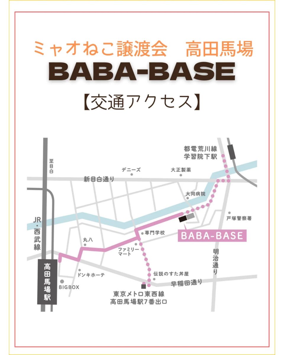 ミャオ！ねこのおうち【譲渡会・東京】 tweet media