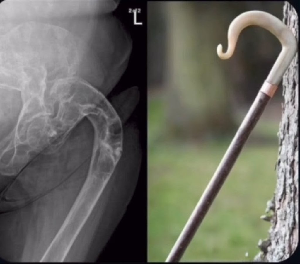 救命医エルメス tweet media