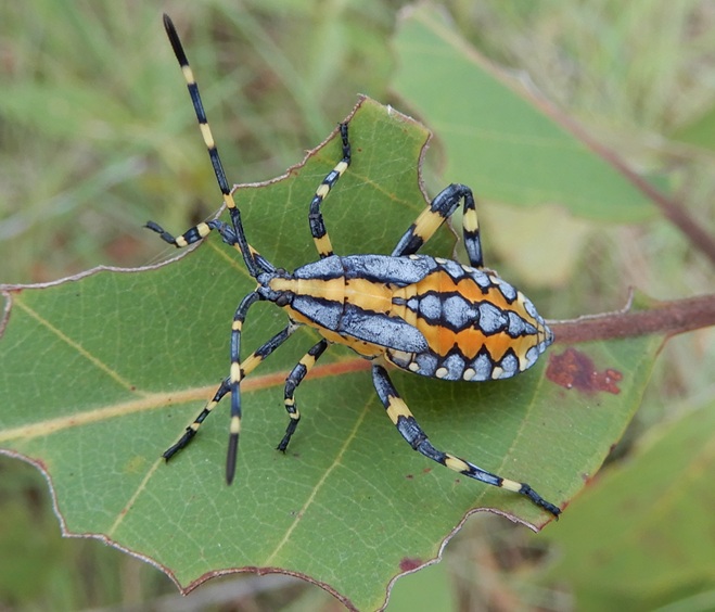 Manami.N tweet media