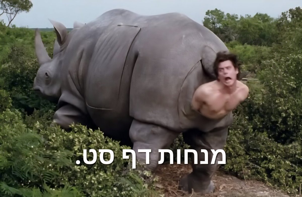 (((Izzo Zwiren))) tweet media