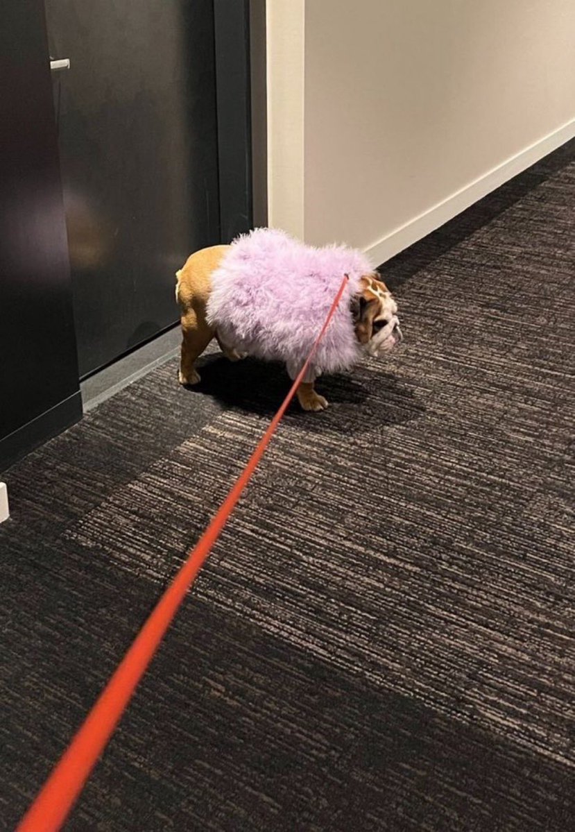 Маделейн . tweet media