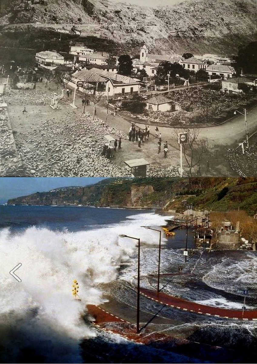 Madeira Island / Ilha da Madeira tweet media