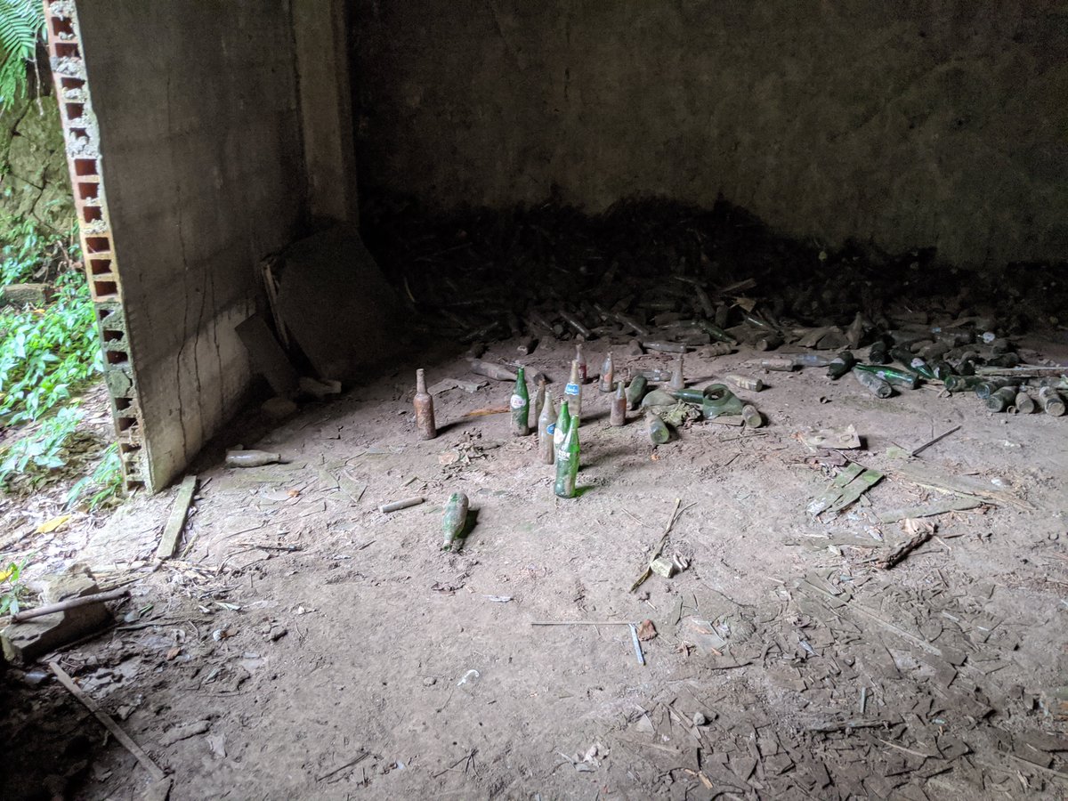 ジェミ【Jemi】 tweet media