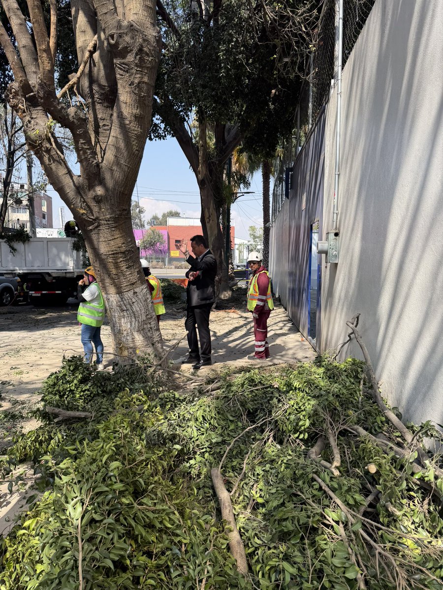 🅿️🅰️🅾️ tweet media