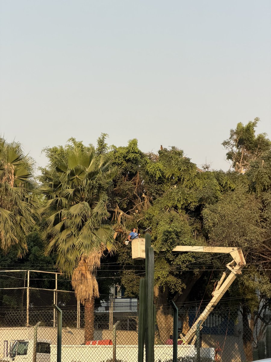 🅿️🅰️🅾️ tweet media