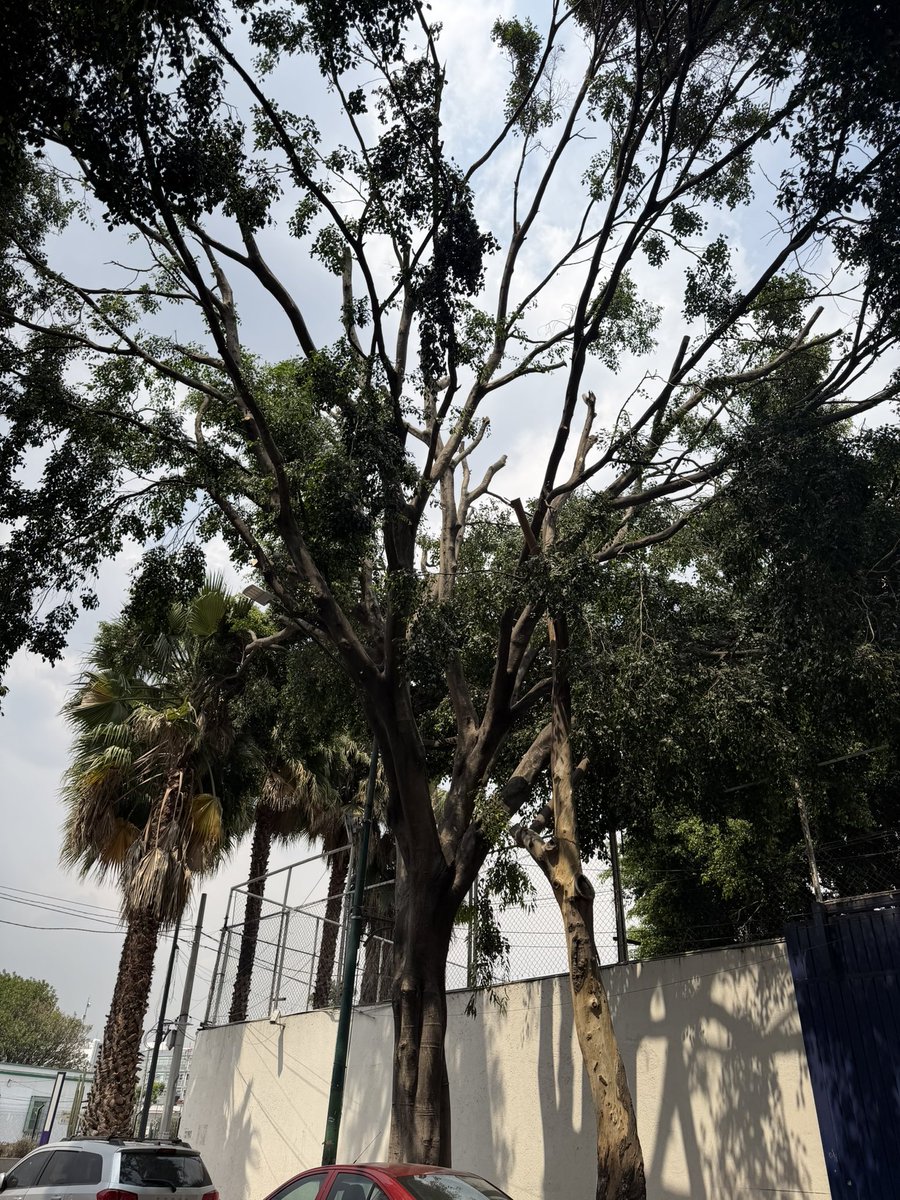 🅿️🅰️🅾️ tweet media