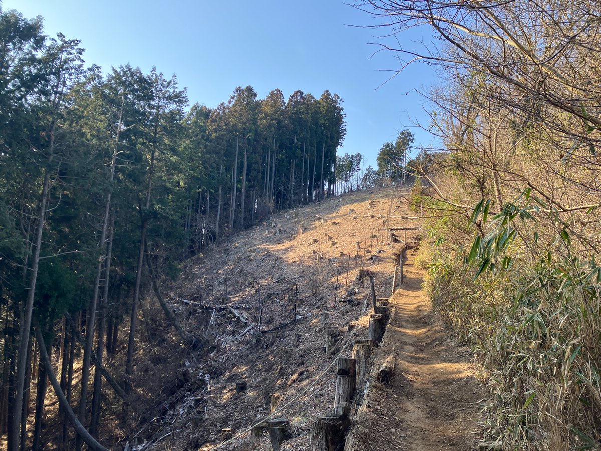 watti(わっち) tweet media