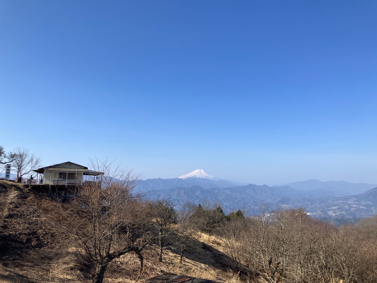 watti(わっち) tweet media