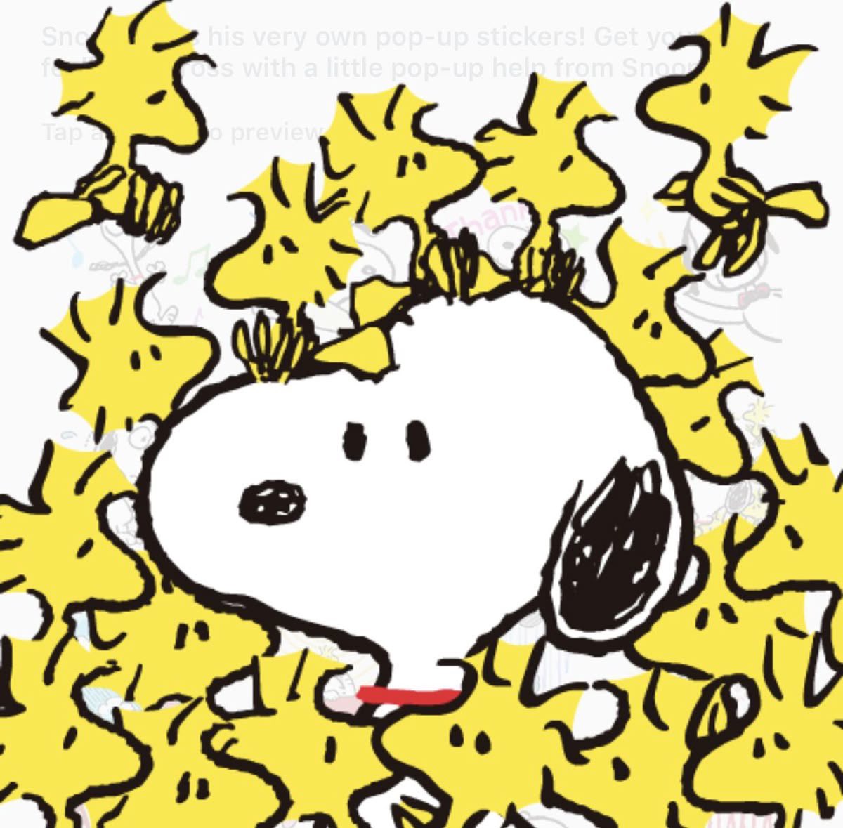 miruu ²⁷ tweet media