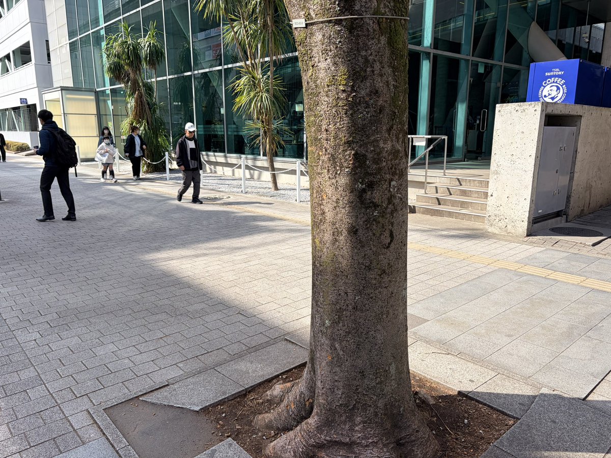 3Marco💿VRDJ tweet media