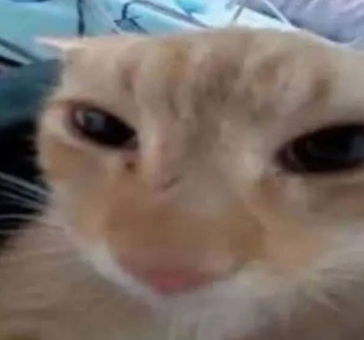 flowerflowerbab's tweet photo. @ccarmype Obviooo (tengo deuda)
 Solo me queda renunciar a la chamba 2 días antes para que me den la liquidación https://t.co/7Oy6tPJVG9