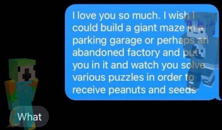 meowth 🐇💨 tweet media