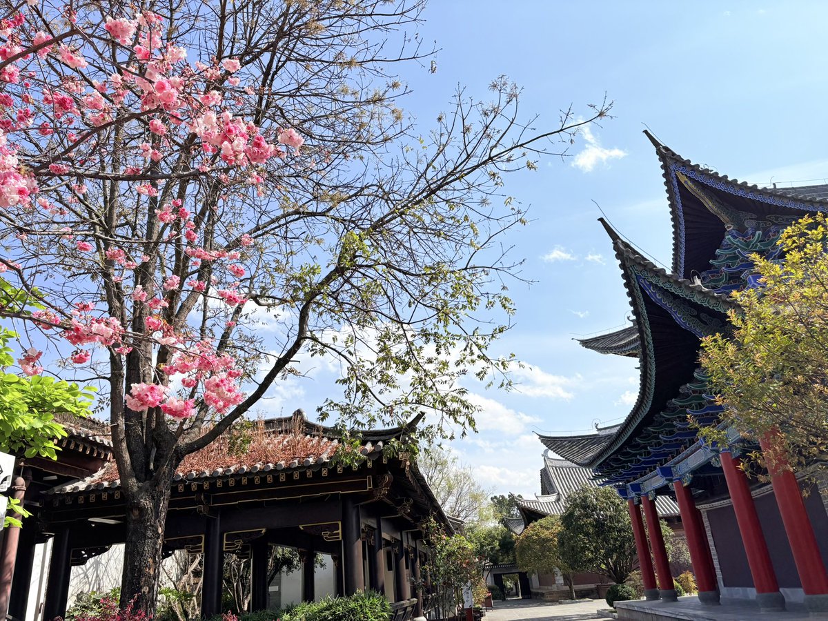 ぽんず tweet media