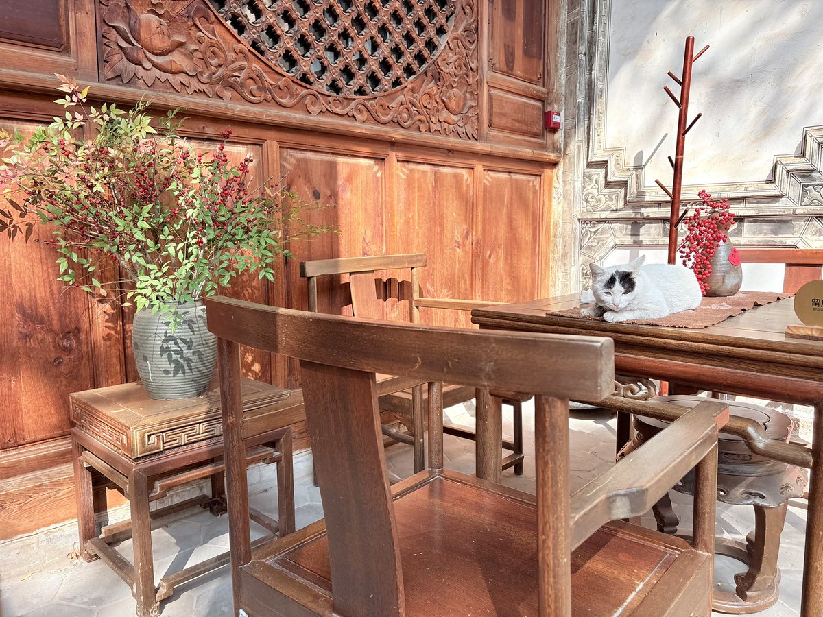 ぽんず tweet media