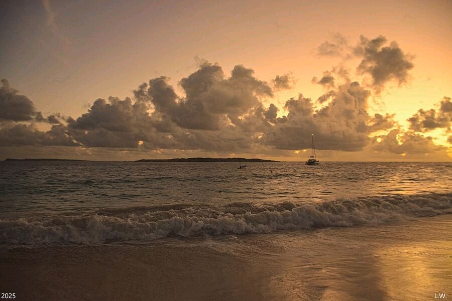 Lisa Wooten Photography tweet media