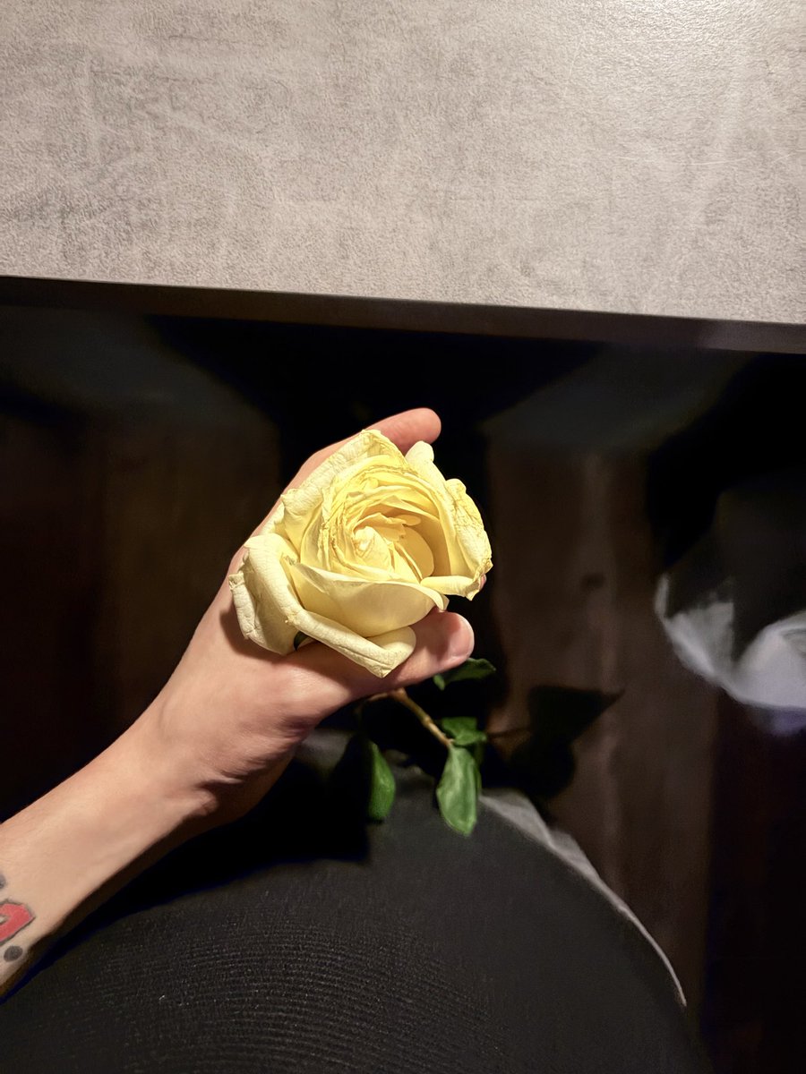 Mark Mokin@ tweet media