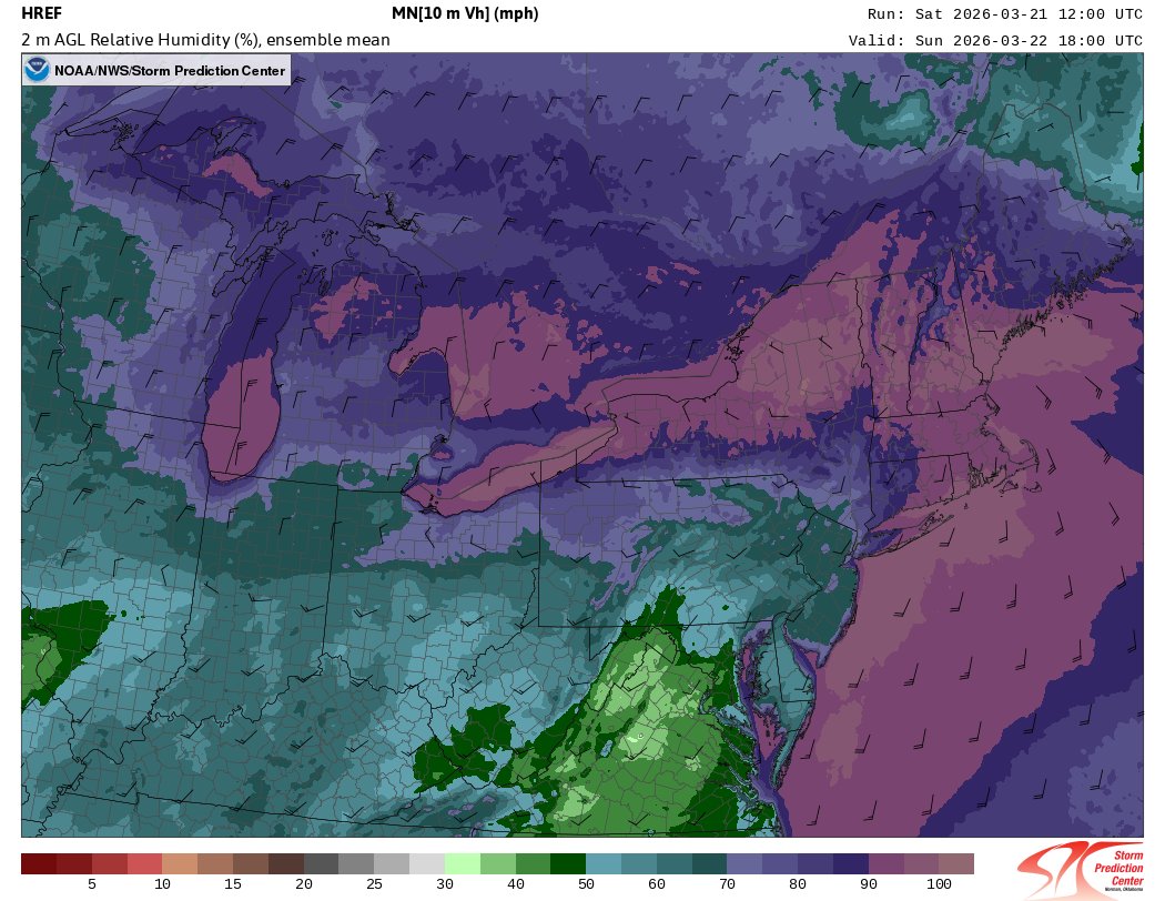 Sam Brandt tweet media