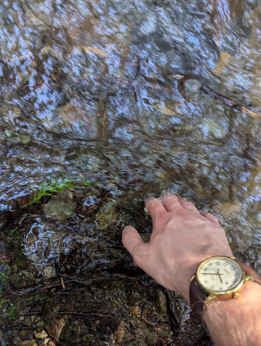 M A G N U S🌲⭐ tweet media