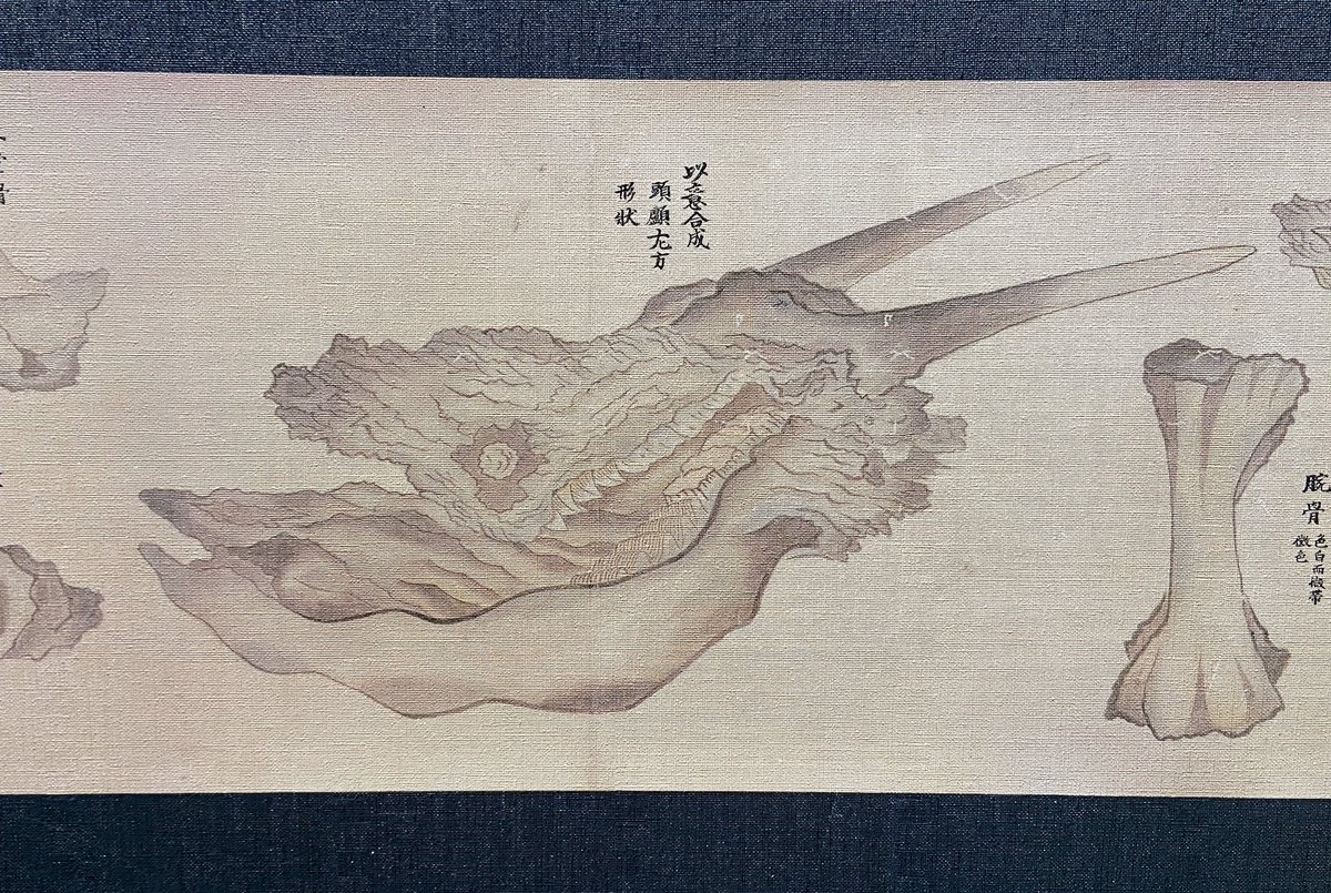 月海月 tweet media