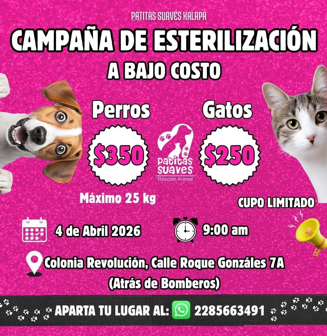 ANGIE COLUNGA tweet media