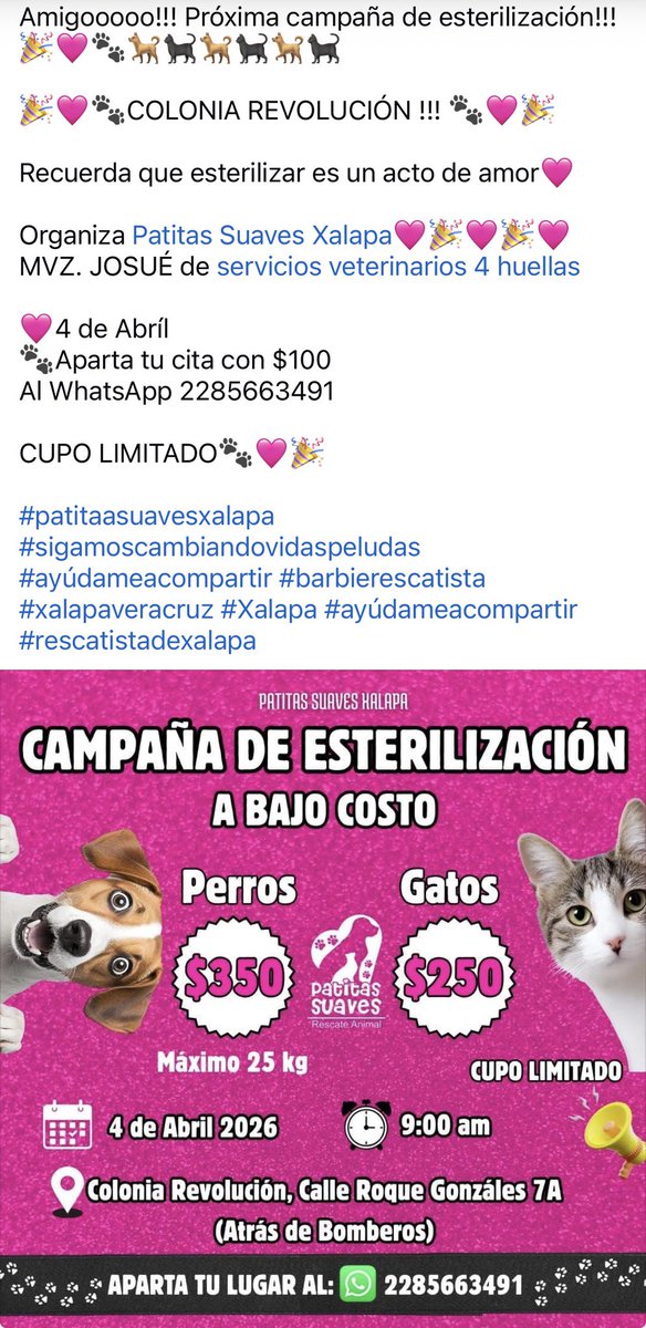 ANGIE COLUNGA tweet media