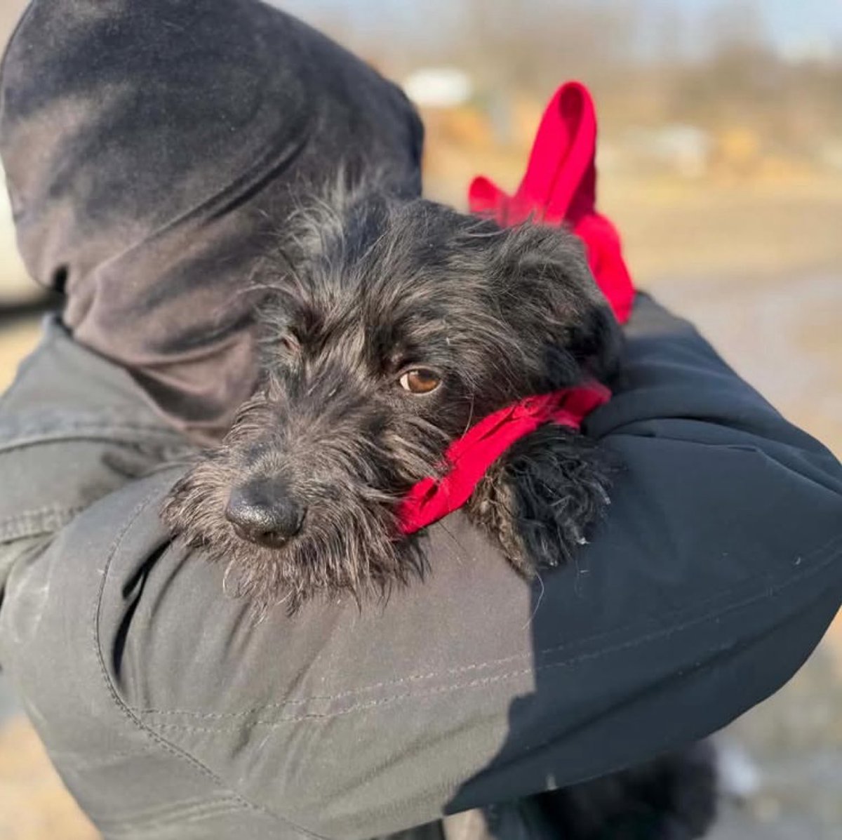 💛💙Hanna❤️🖤 tweet media