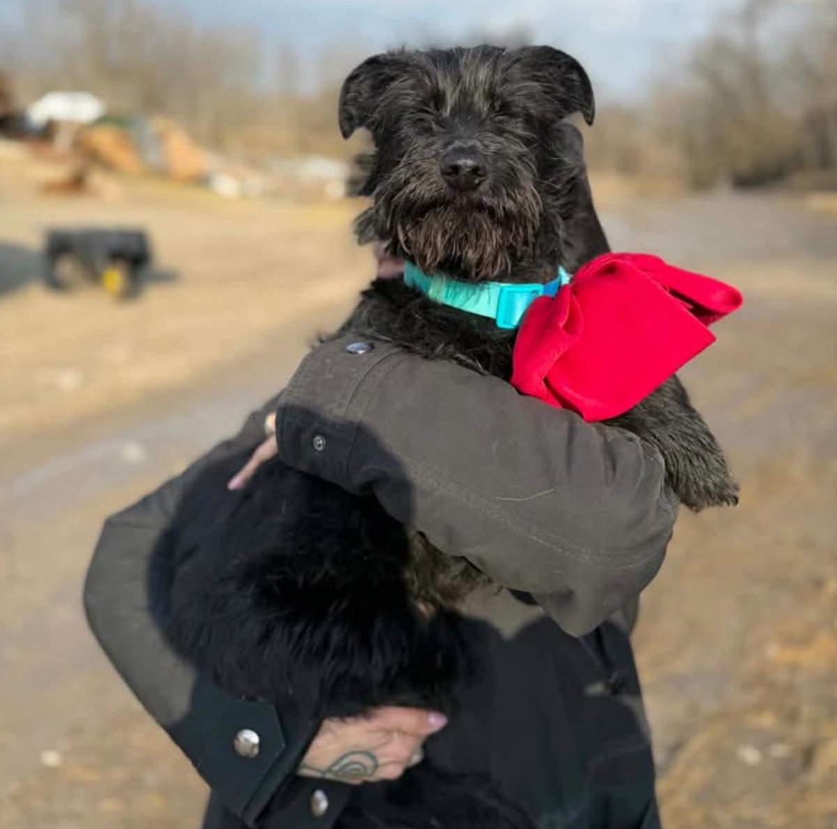 💛💙Hanna❤️🖤 tweet media