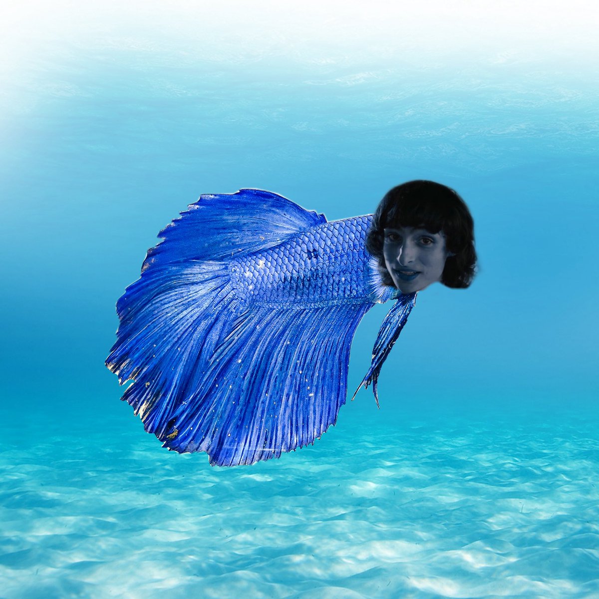 muddy🐠⋆.˚ | bubblernation ceo 🫧 tweet media