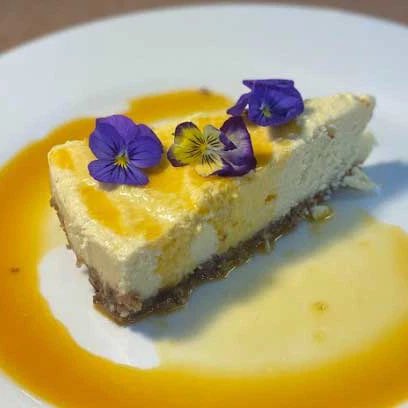 Foreveryorkiepups 🌻🧸🩶 tweet media