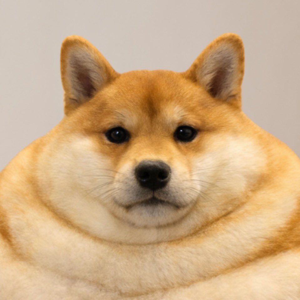 GooningwithGois tweet media