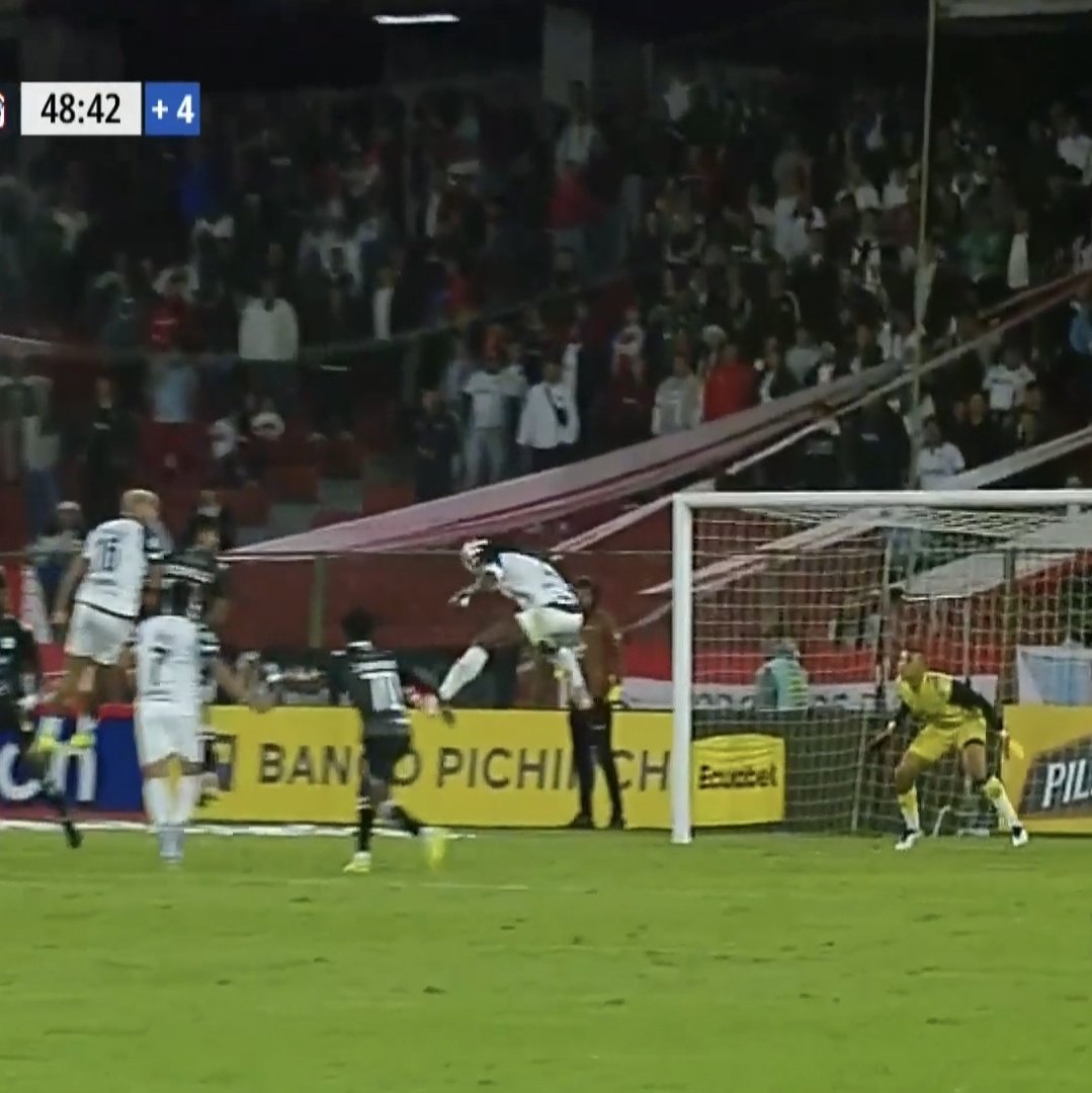 elbasado.ec tweet media