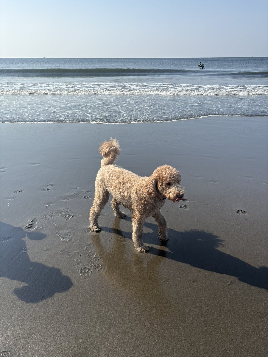 Chris Chapman 🏳️‍🌈クリス tweet media