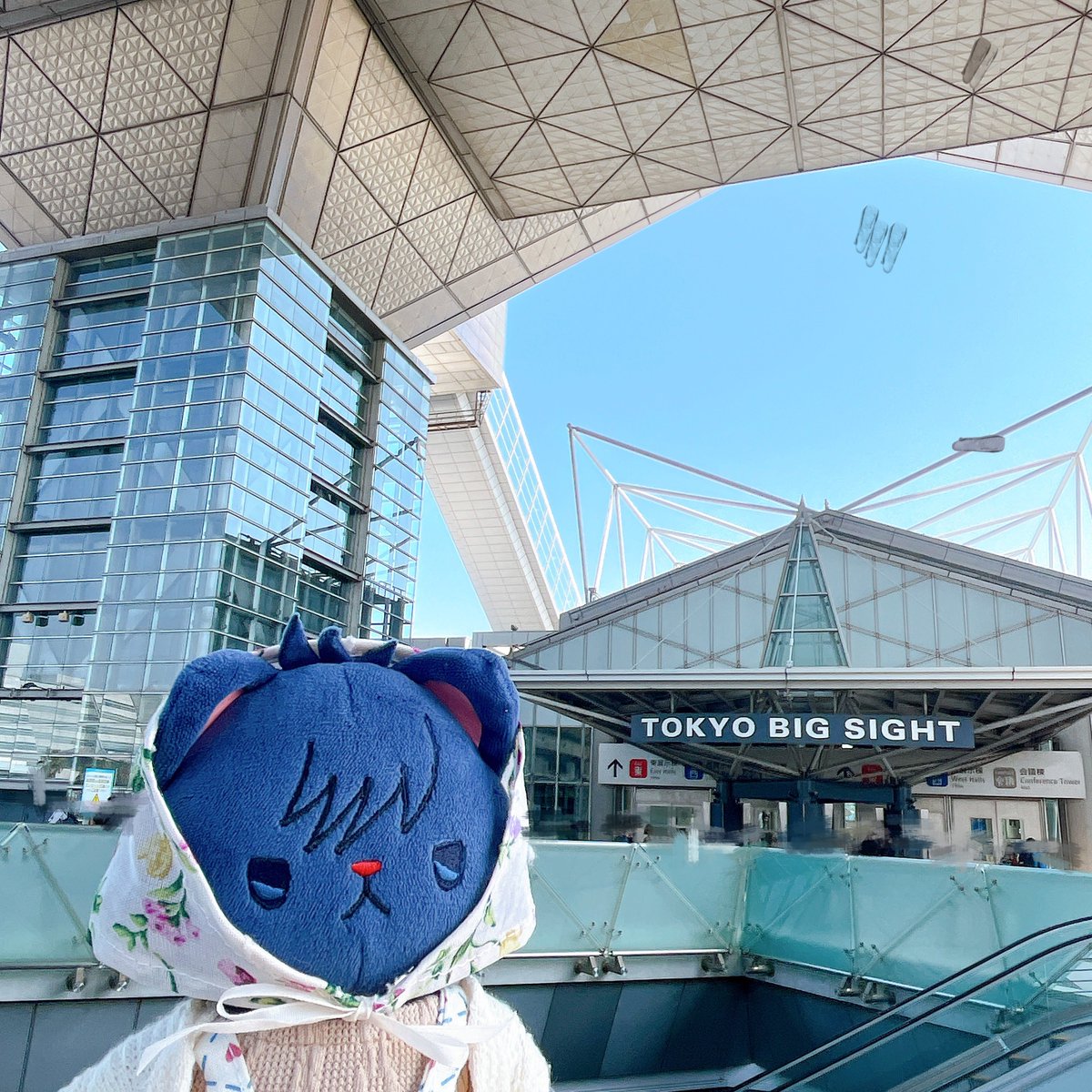 みと🐺 tweet media