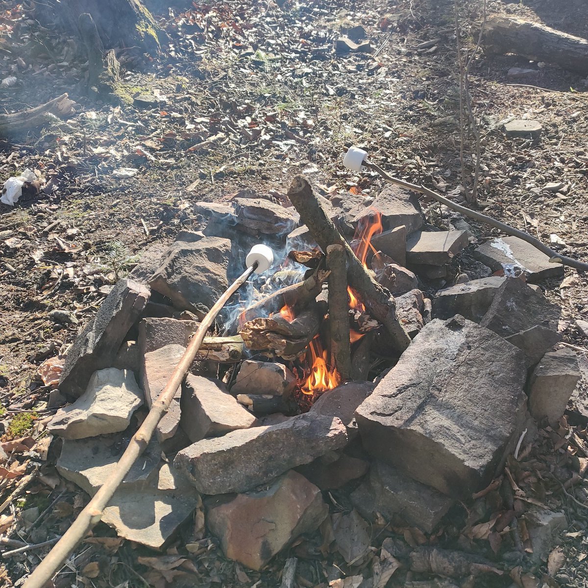 irys ꏍ bird oomf tweet media